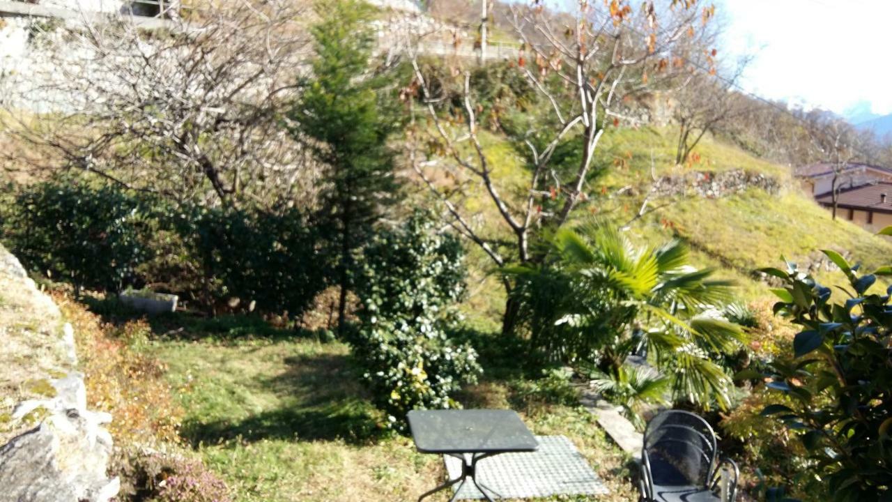 Casa Delle Camelie Lejlighed Sorico Eksteriør billede