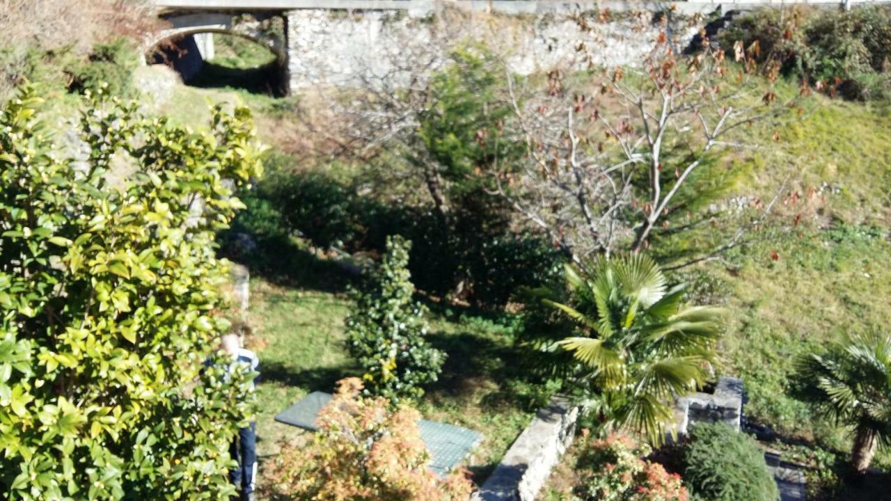 Casa Delle Camelie Lejlighed Sorico Eksteriør billede